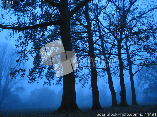 Image of A foggy November day around dusk.