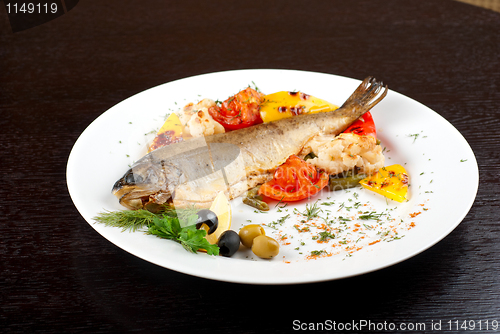 Image of trout fish