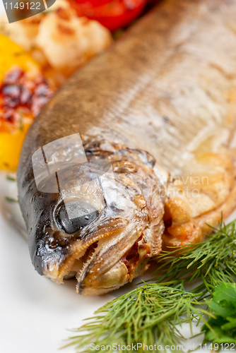 Image of trout fish