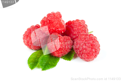 Image of fresh raspberry