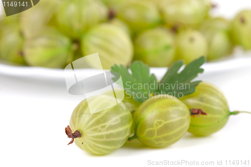 Image of gooseberries