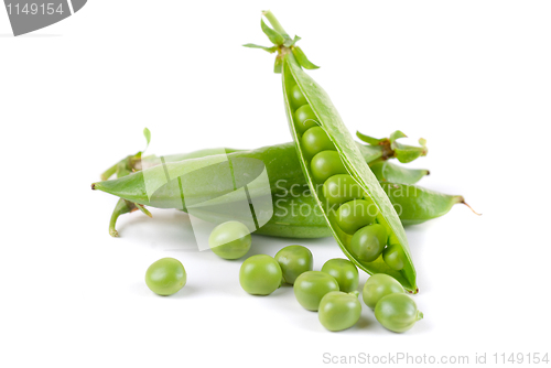 Image of Ripe pea