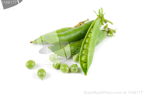 Image of Ripe pea