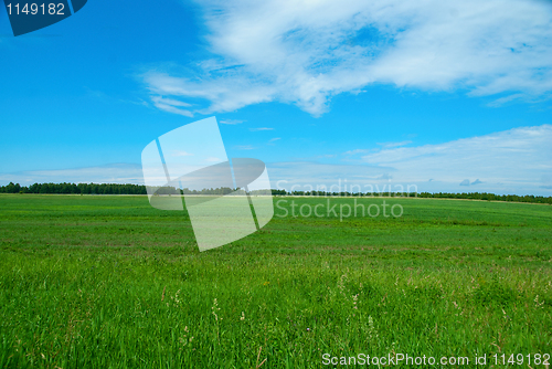 Image of nature background