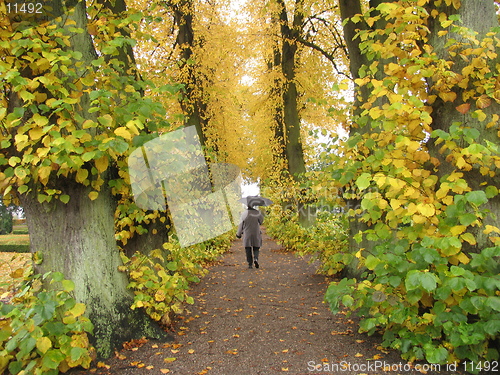 Image of Walking in the rain a nice autumn day.
