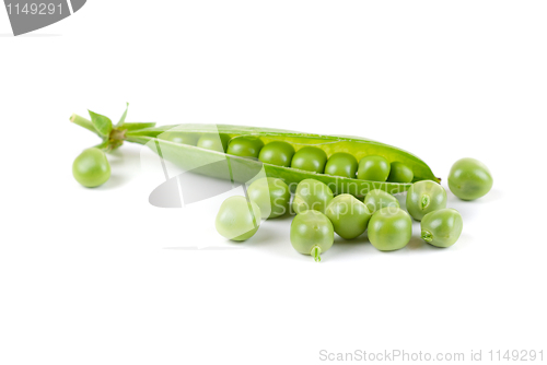 Image of Ripe pea