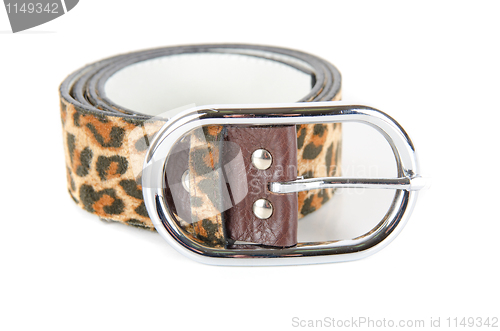 Image of leopard belt