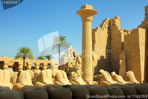 Image of column and statues of sphinx in karnak temple