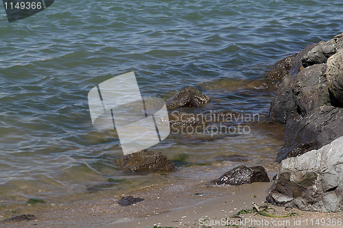 Image of Beach