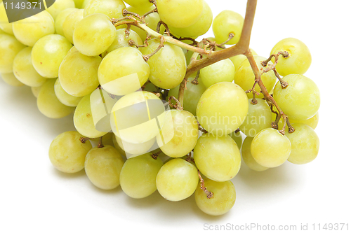 Image of Grapes