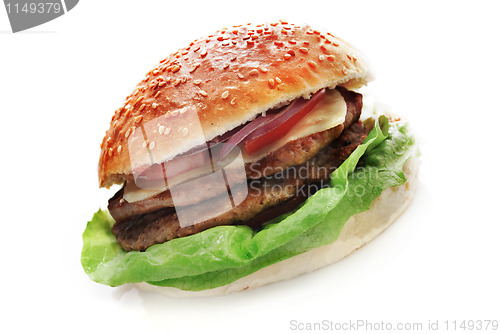 Image of Hamburger
