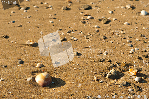 Image of Beach sand background