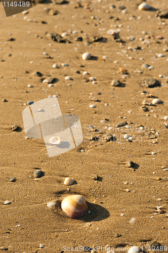 Image of Beach sand background
