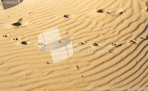 Image of Sand background