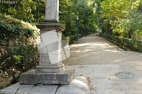 Image of Peaceful walkway though the trees in Granada