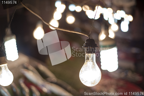 Image of Lightbulbs in fish market stall