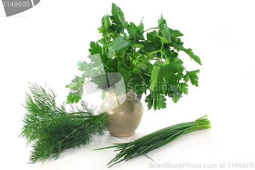 Image of Culinary herbs