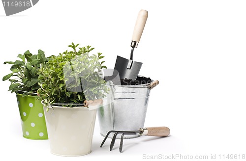 Image of Gardening