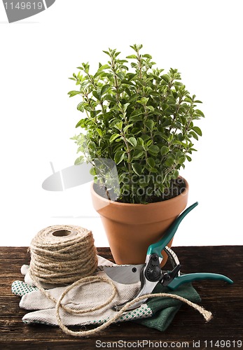 Image of Gardening