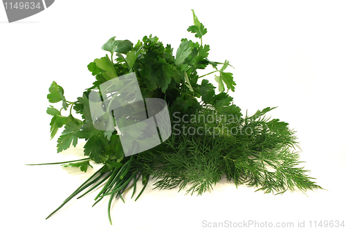 Image of culinary herbs