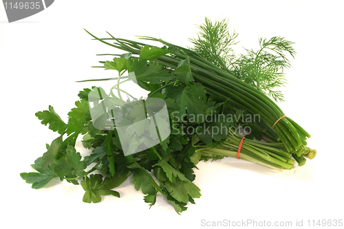 Image of culinary herbs