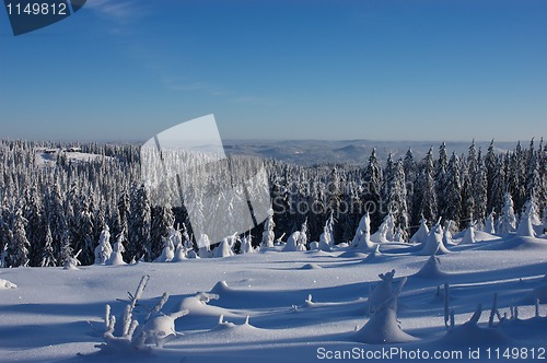 Image of Vinterdag i Nordmarka