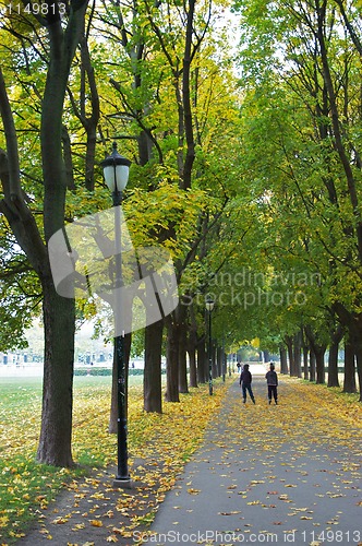 Image of Two friends in the park