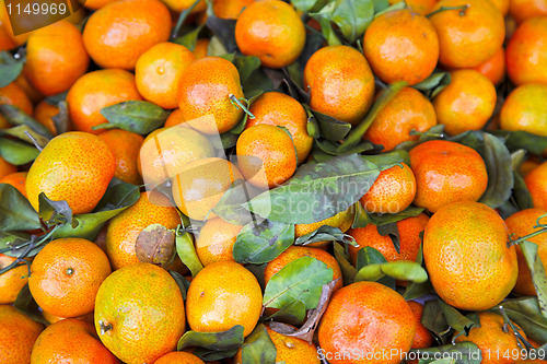 Image of tangerine