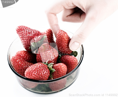 Image of Strawberry