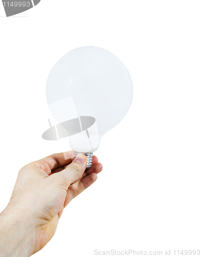 Image of White bulb