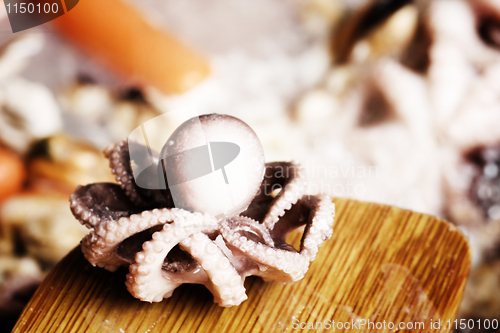 Image of Seafood