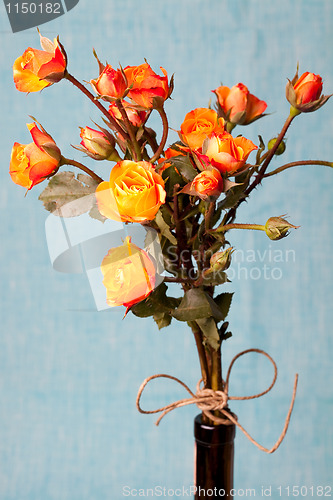 Image of Orange roses