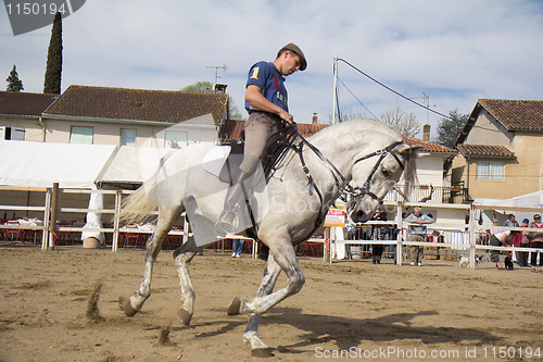 Image of Rider