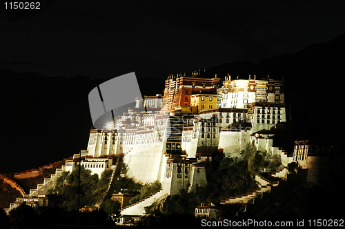 Image of Night scenes of Potala Palace