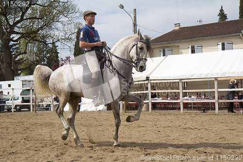 Image of Horse riding