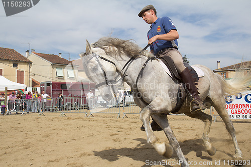 Image of Rider