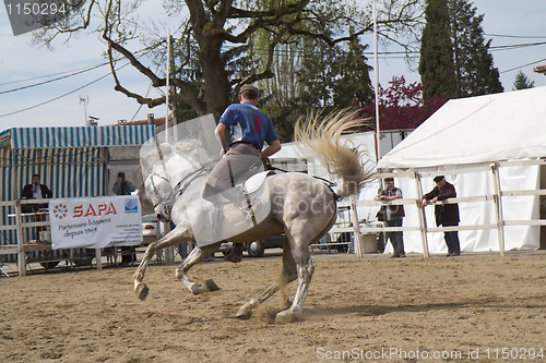 Image of Show with male rider