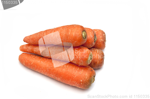 Image of Carrots