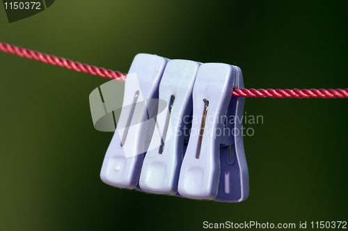 Image of Clips