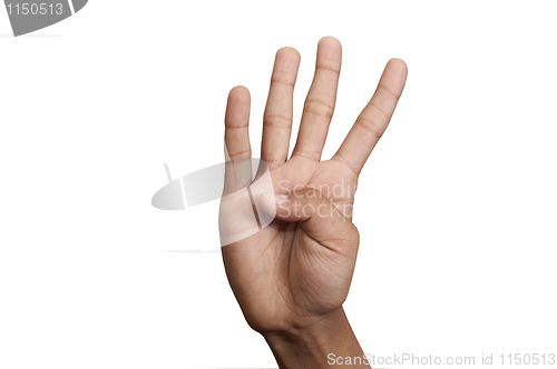 Image of Five fingers