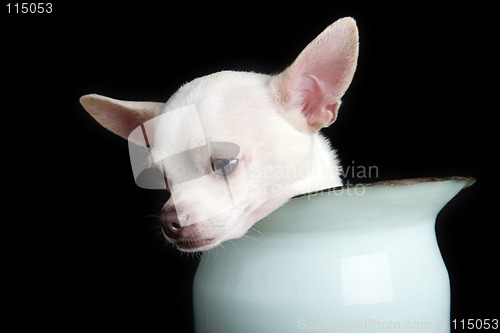 Image of Sorrow