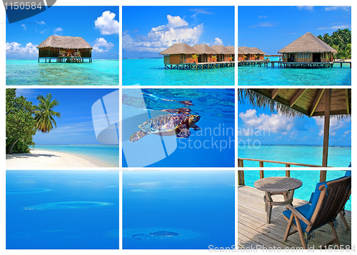 Image of Maldives