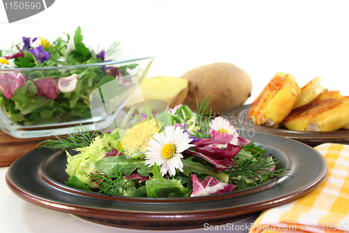 Image of Wild herb salad