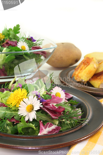 Image of Wild herb salad