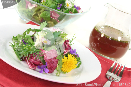 Image of Wild herb salad