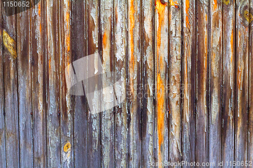 Image of Wooden Texture