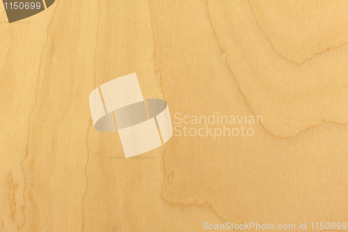 Image of Wood Texture