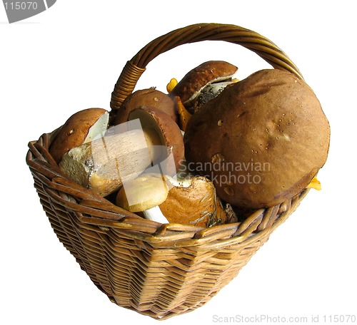 Image of Basket full of mushrooms