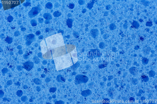 Image of Blue Sponge closeup