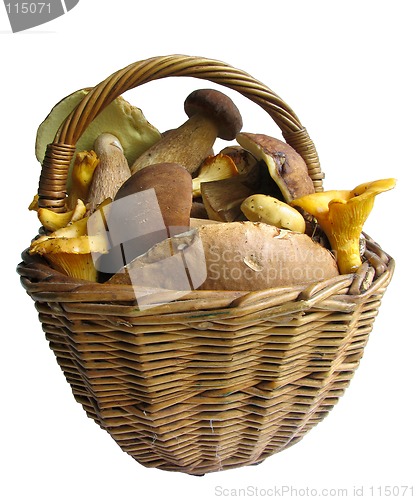 Image of Basket with mushrooms